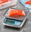 Scale 34 DFG Series Precision Portion Scales 35 E Series Economy Portion Scales 36 EPZ Digital Pizza Scale 37 Wireless Technology NSF Digital Specialty