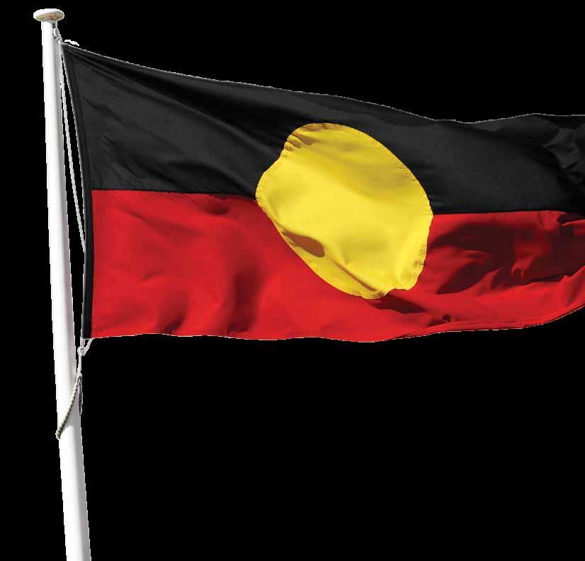 Name: VIBE ACTIVITIES Tracking history the Aboriginal Flag page 22 Tracking history Harold Thomas, the designer of the Aboriginal