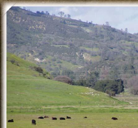 D General Operation eer Valley Ranch is currently leased for grazing and hunting.