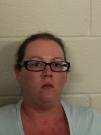 29 1593 MORRISON CAMPGROUND ROAD, 04/21/16 1576 MORRISON Brooky, April Floyd County Sheriff's Bonded Out 16-9-20(B)(1)(2) - Deposit