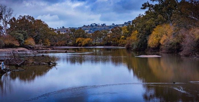The Murray River is the southern border of Wiradjuri land.