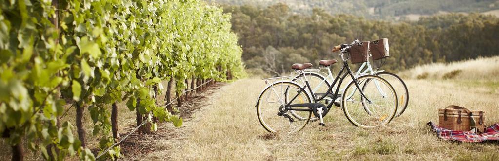 DISCOVER & EXPLORE OUR REGION The North East of Victoria is renowned for its natural beauty, abundance of world-class winemakers, passionate artisan producers, stunning villages and historic towns.