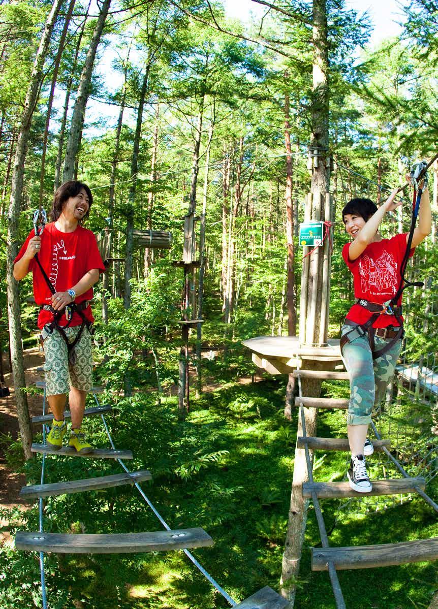 THE HIGH WIRE ADVENTURE COURSE EXPERIENCE BY ENGLISH Your expert in designing and