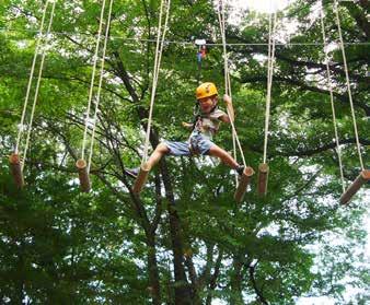 Adventure Course: 1) Maximum number of users per day: 30 Average entrance fee in Europe: 1 uros Average entrance fee in the USA: $27 USD* Average entrance fee in