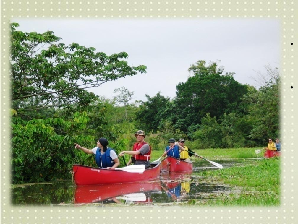 Rate: $67 We ll descend in a double or single canoe on green and crystal clear waters of