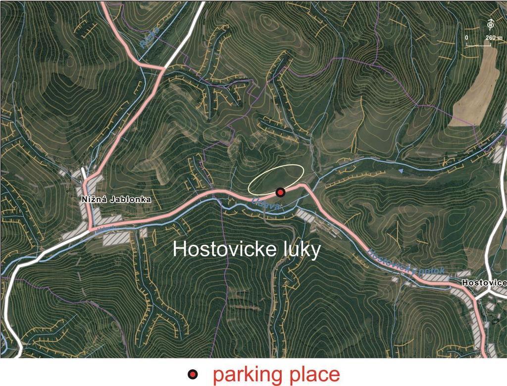 Hostovické lúky Coord. 49 7'43" N, 22 6'51" E Alt. 325 330 m closest village: Hostovice The Nature Reserve (46.