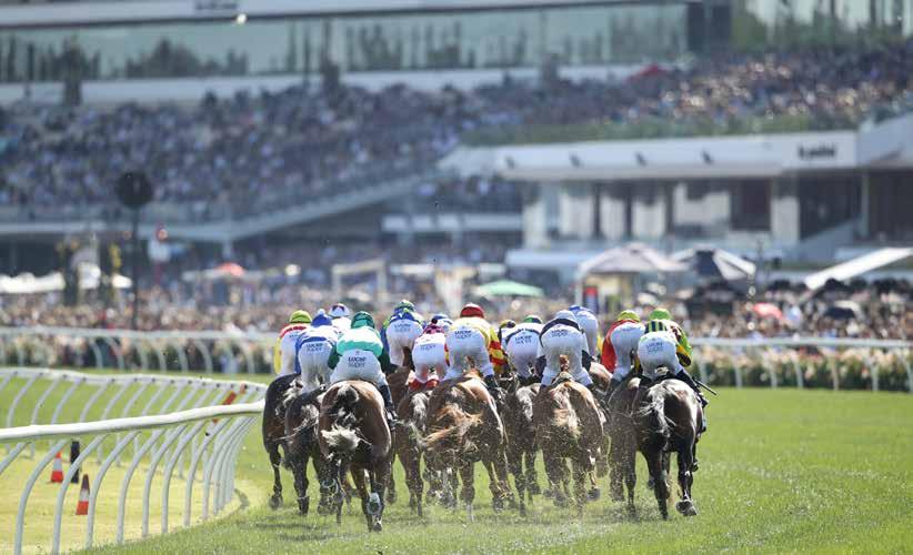 The Carnival Package Extend your stay with a 7 night Carnival Package and attend AAMI Victoria Derby Day, Emirates Melbourne Cup Day and VRC Oaks Day.