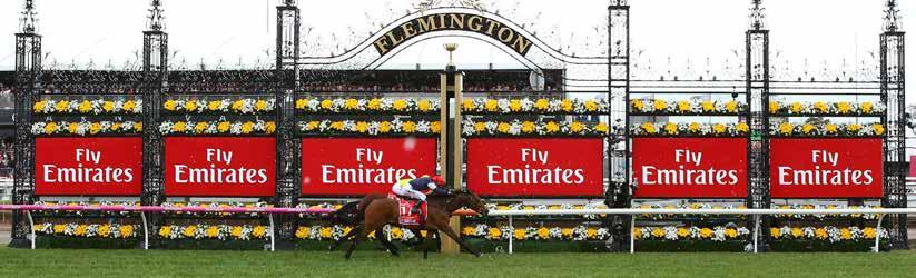Package Includes: 7 nights accommodation (03 10 Nov 17) Transfer from your hotel to Flemington Racecourse on Emirates Melbourne Cup Day (07 Nov 17) AAMI Victoria Derby Day
