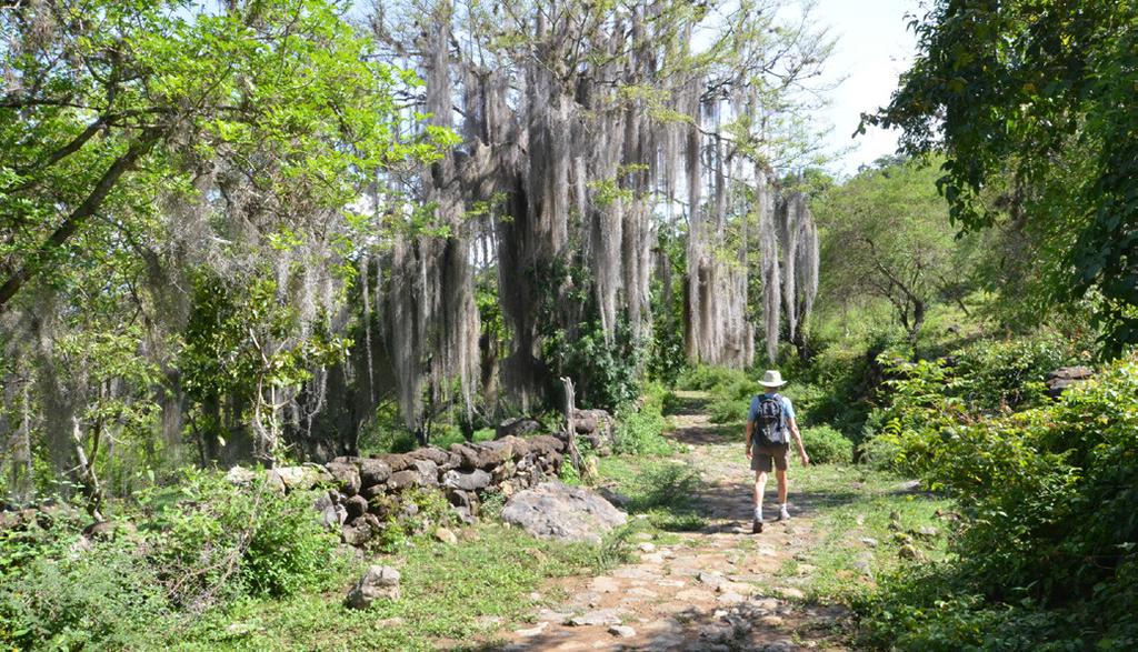 DAY 6: HIKE THE ROYAL ROAD TO GUANE AND TRANSFER TO GIRON. (2 HOURS, DISTANCE 5 MILES) Spend this morning hiking on the iconic 5 km Royal Road, a historic treasure and National Monument.