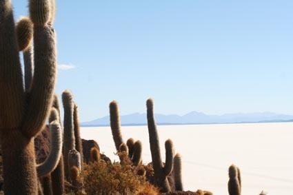 Salar de Uyuni World Largest Salt Lake Size:
