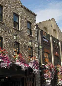 PRE-CRUISE PROGRAM Discover the highlights of Dublin that you might otherwise miss.