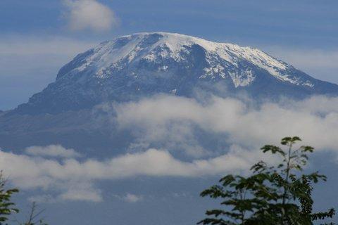 Kilimanjaro surfaces in the centre of the park, creang swamps that a'ract and support a rich diversity of wild animals and 400 species of birds, including water birds, pelicans, kingfishers, crakes,