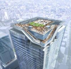 Plaza Terrace Futako Tamagawa Rise Phase Ⅰ Urban development in Vietnam Hanno