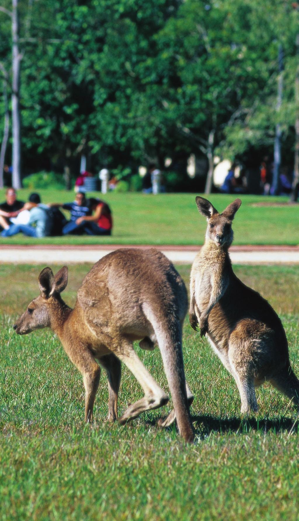 My experience Why study in Queensland? The top 10 reasons for choosing Queensland 1. Exceptional support 2. Great climate for outdoors 3. Competitive cost of living 4.