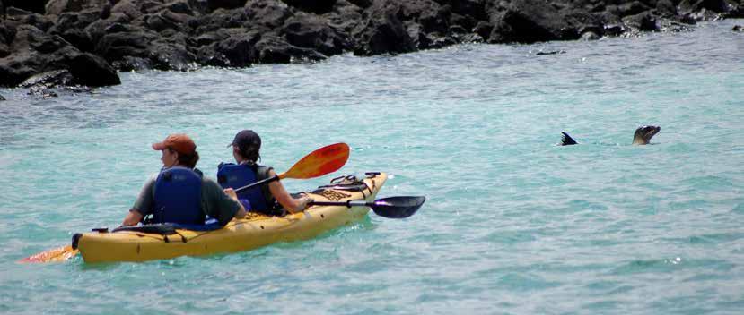 DAY 1 San Cristobal kayak adventure After a morning flight from the Ecuadorian mainland to San Cristobal Island, you will arrive at the airport and head to your hotel.