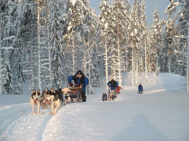 Arctic Husky Lodge 2018/19 Double room with en-suite shower and toilet inclusive of return transfers from Kiruna airport, breakfast, lunch and dinner, sauna each day, thermal over-suit and boots, XC