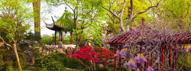 11 DAY CULTURAL TOUR THE ITINERARY Day 6 Hangzhou Shanghai Hangzhou is considered the tea capital of China, so a visit to the city just isn t complete without a trip to a local tea house.