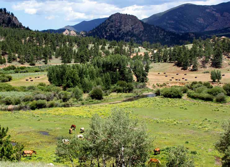 Location: Tarryall River Ranch is located in Park County near Lake George, Colorado, in a beautiful valley in the majestic Tarryall Mountains.