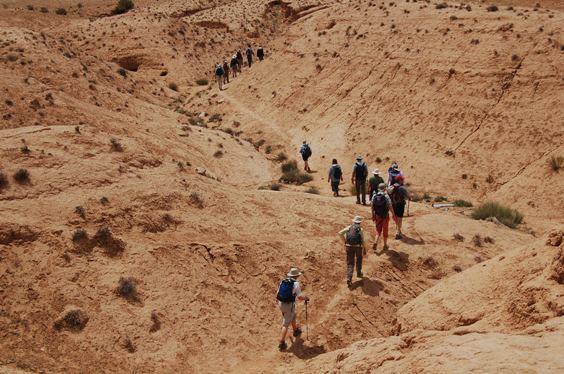 We start the day with a walk down the siq, a narrow pathway, surrounded by towering rock walls. We will be able to see traces of the old Nabatean water channels and a carving of a camel and trader.