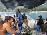 About the MCSS Programme The MCSS have been monitoring whale sharks around Seychelles since its pilot project in November 1996.