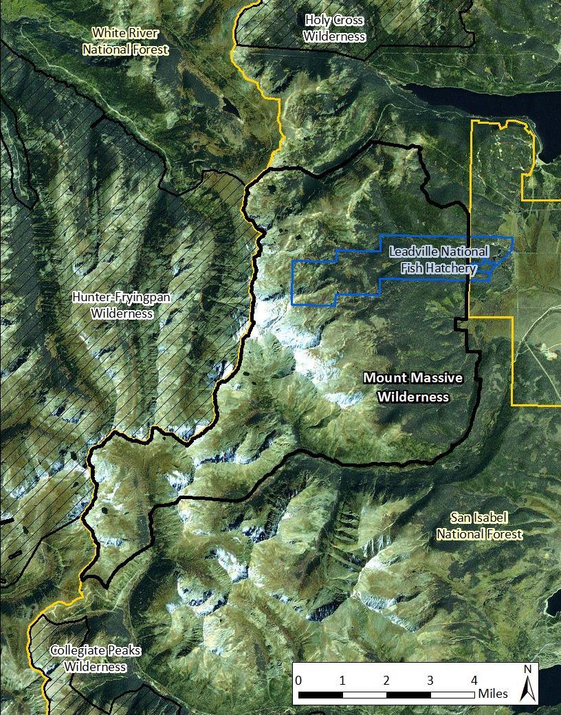 HISTORICAL AND ADMINISTRATIVE SETTING OF THE HISTORY OF ESTABLISHING THE WILDERNESS The Mount Massive Wilderness was designated by the Colorado Wilderness Act of 1980 (Public Law 96-560, 99 Stat.