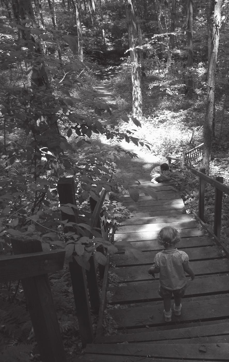 124 60 hikes within 60 miles: cincinnati Wooden staircase at Cincinnati Nature Center the cabin side of the pond, turn right, and follow the trail to the gravel road at 3.69 miles.