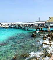 30 transfer you from hotel at Pattaya to your boat pier to Koh Larn or called Coral Island.