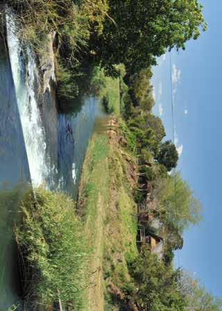 LOCATION Hippo Hollow Country Estate is situated outside Hazyview on the Sabie River between the Drakensberg Mountains to the West and the low-lying bushveld to the east.