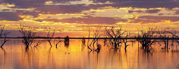 DEVELOP Image: Menindee Lakes, www.visitnsw.com SUMMER Summer in Country & Outback NSW is a time for seeking out cooler climates, refreshing water activities, caves and night-time experiences.