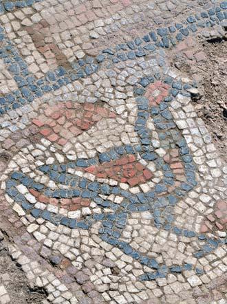 In this camp experts and students from University of Istanbul with their work discovered a new mosaic in the archaeological area of Ulpiana, and this was valued as a linking point of culture and