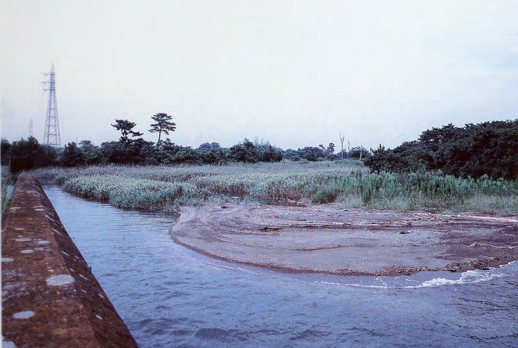 Maite River mouth (Oshinden, Nakatsu) Rounded sand