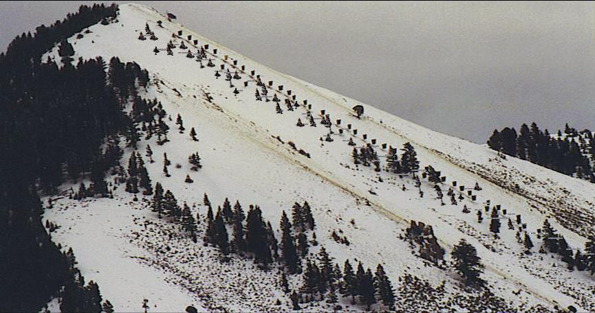 Figure 8: A virtual rendering of snow supporting structures with reforestation in the 151 Avalanche starting zone in a configuration that retains the visual character of the site REFERENCES American