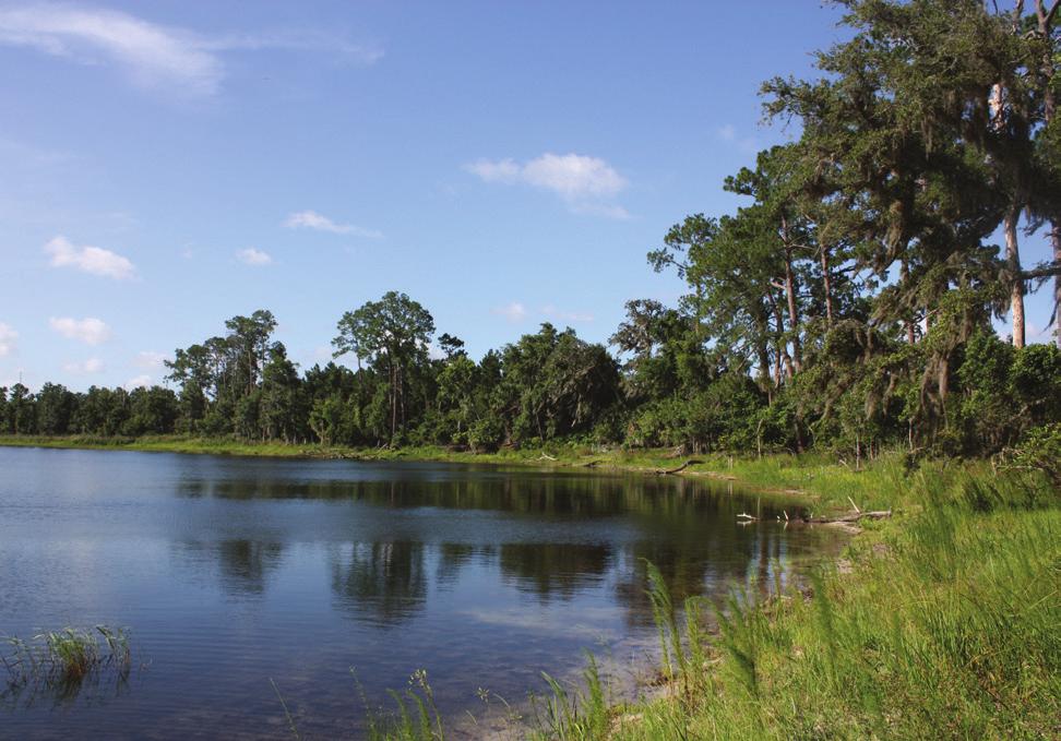 Florida. The land is approximately 96% uplands. Deep Creek Ranch offers stunning views of Sunset (north side of property) and Winona (south side of the property).