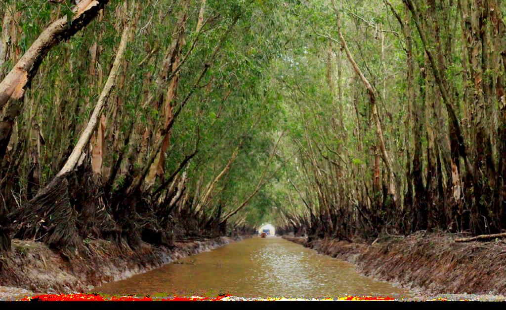 A journey that takes you through Vietnam s famed Mekong Delta from Saigon to Chau Doc (gateway to