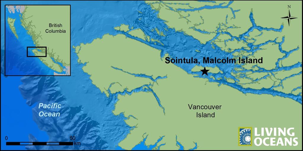 A case study of the disposal of an abandoned derelict by a remote Harbour Authority The community of Sointula is a small unincorporated village located on Malcolm Island, situated in Queen Charlotte