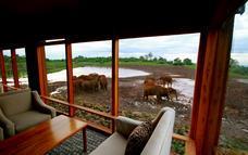 Aberdare National Park Overnight: The Ark Lodge The Ark has four viewing areas from which to observe the ever-present animal