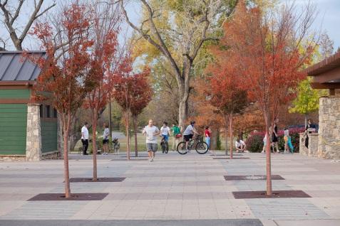All trees were selected and placed to enhance the spring, summer and fall color palette