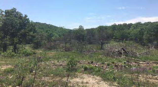9 Birchfield Woodland Prescribed Burn: 2014 and 2018 WSI - 61 acres in 2013
