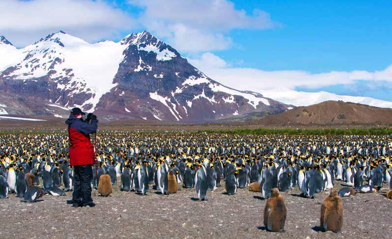 HIGHLIGHTS Watching seabirds in the Drake Passage Antarctica and South Georgia s wondrous wildlife breeding cycles at their peak Step ashore on the Antarctic continent Zodiac through magnificent