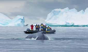 EXTRA INCLUSIONS Whether it s a stylish polar jacket and expedition photo book to keep, gumboots to wear, a complimentary ship tracking system or included flights on our Fly/Sail