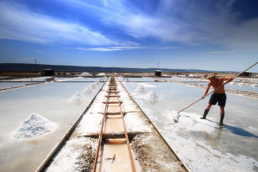 Along with the Strunjan Saltworks, they are the northernmost Mediterranean saltworks and one of the few where salt is still produced in a traditional way, as well as a wetland of international