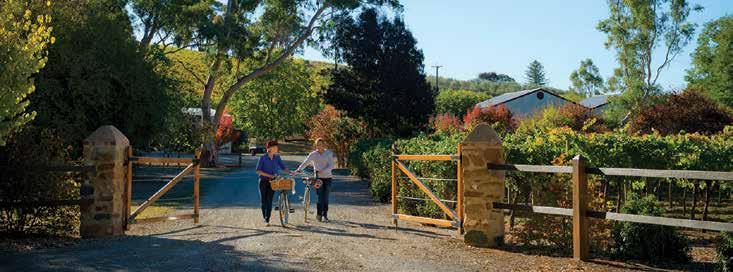 Holiday Packages HOLIDAY PACKAGES Kilikanoon Wines, Clare Valley Planning a holiday to South Australia is easy with our selection of great holiday packages.
