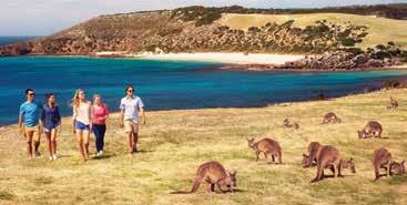 Experience spectacular coastal scenery ranging from ancient cliffs to stunning, long, footprint-free beaches bordered by massive sand dunes, pristine and clear waters of the Southern Ocean and