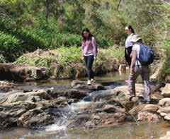 BUY NOW - BOOK LATER Sightseeing & SURROUNDS B U Y BUY NOW - BOOK LATER N O W L AT E R - B O O K Bushwalk, Wine & BBQ Eco Tour Explore one of Adelaide s most scenic national parks with an experienced