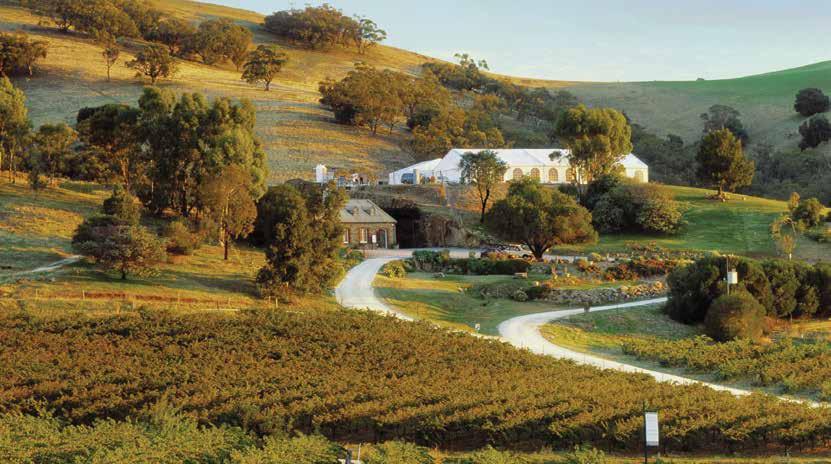 Top 10 Things To Do 1 Bethany Wines, Barossa 1. Barossa & Clare Valley Wine Region Take your tastebuds on a journey in the Barossa and Clare Valley.