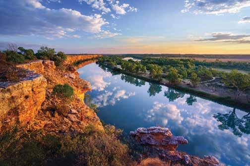 There is no better way to experience the Murray than on an extended river cruise. Travel past magnificent sandstone cliffs, rich wetlands and towering gum trees.