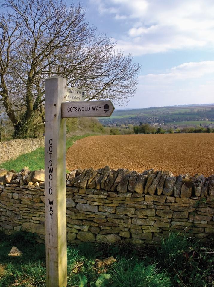 Following the western edge of the Cotswold Hills, the Cotswold Way journeys through gently rolling, sheep-grazed pastures, stunning beech