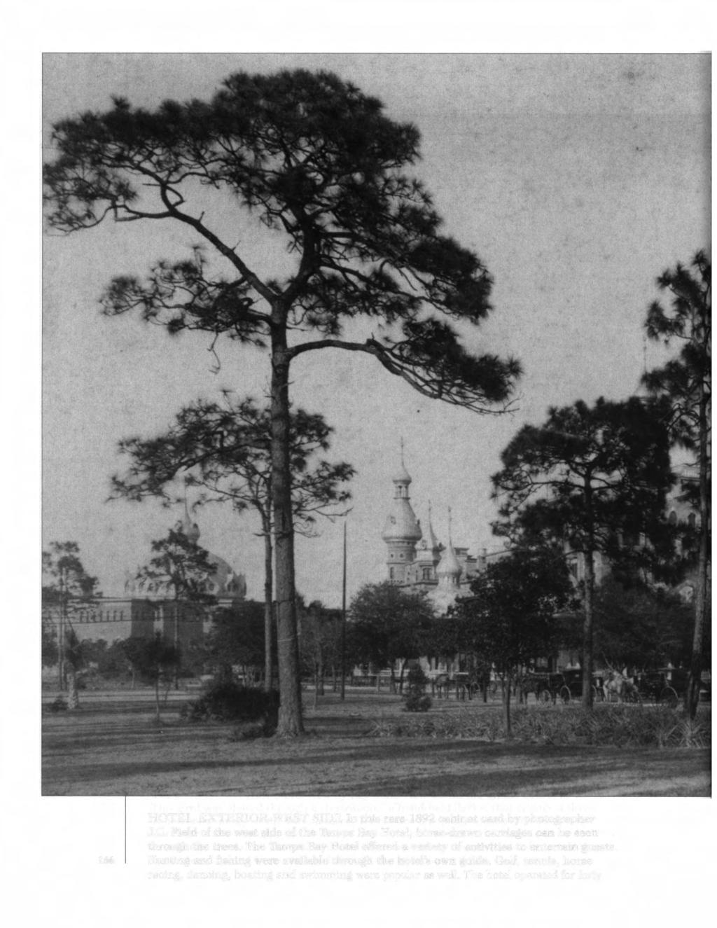 HOTEL EXTERIOR-WEST SIDE In this rare 1892 cabinet card by photographer J.C. Field of the west side of the Tampa Bay Hotel, horse-drawn carriages can be seen through the trees.
