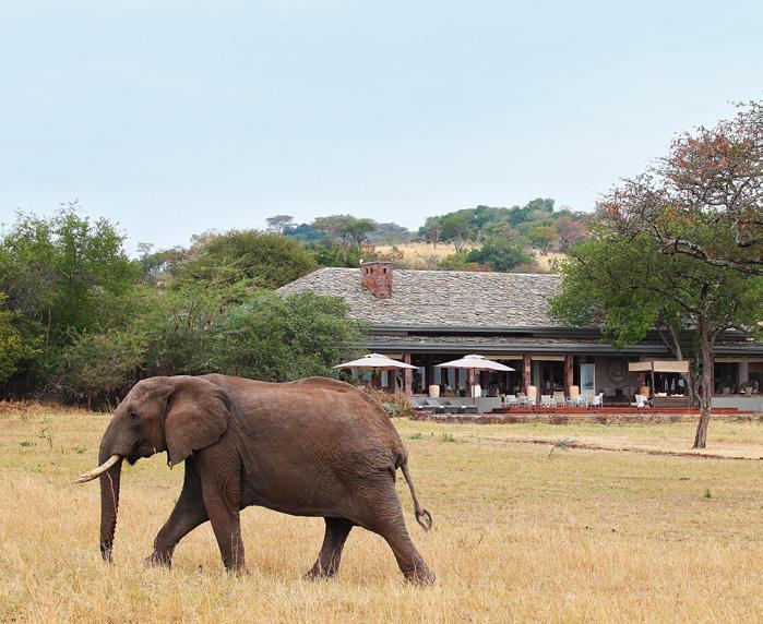 THE SERENGETI HOUSE EXPERIENCE: Accommodation 2 x 1-bedroom main house suites 2 x 1-bedroom garden suites Exciting Activities Daily morning and afternoon game drives with your field guide.