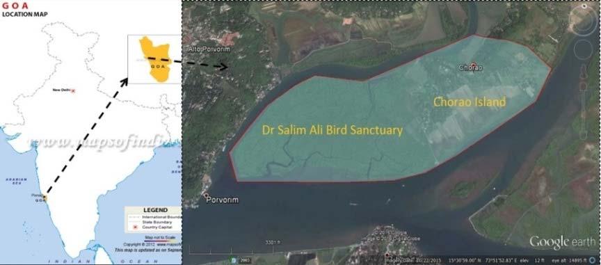 3.3 Goa Coastline CMPA Project Site 105 km Dr Salim Ali Bird Sanctuary and Chorao Island Dr Salim Ali Bird Sanctuary The sanctuary, established in 1988 and covering an area of 1.